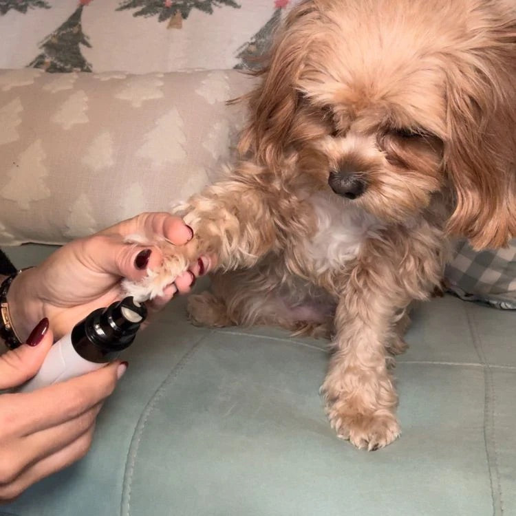 Poppy Nail Pro