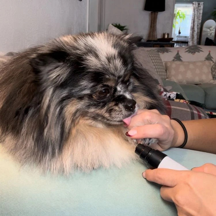 Poppy Nail Pro