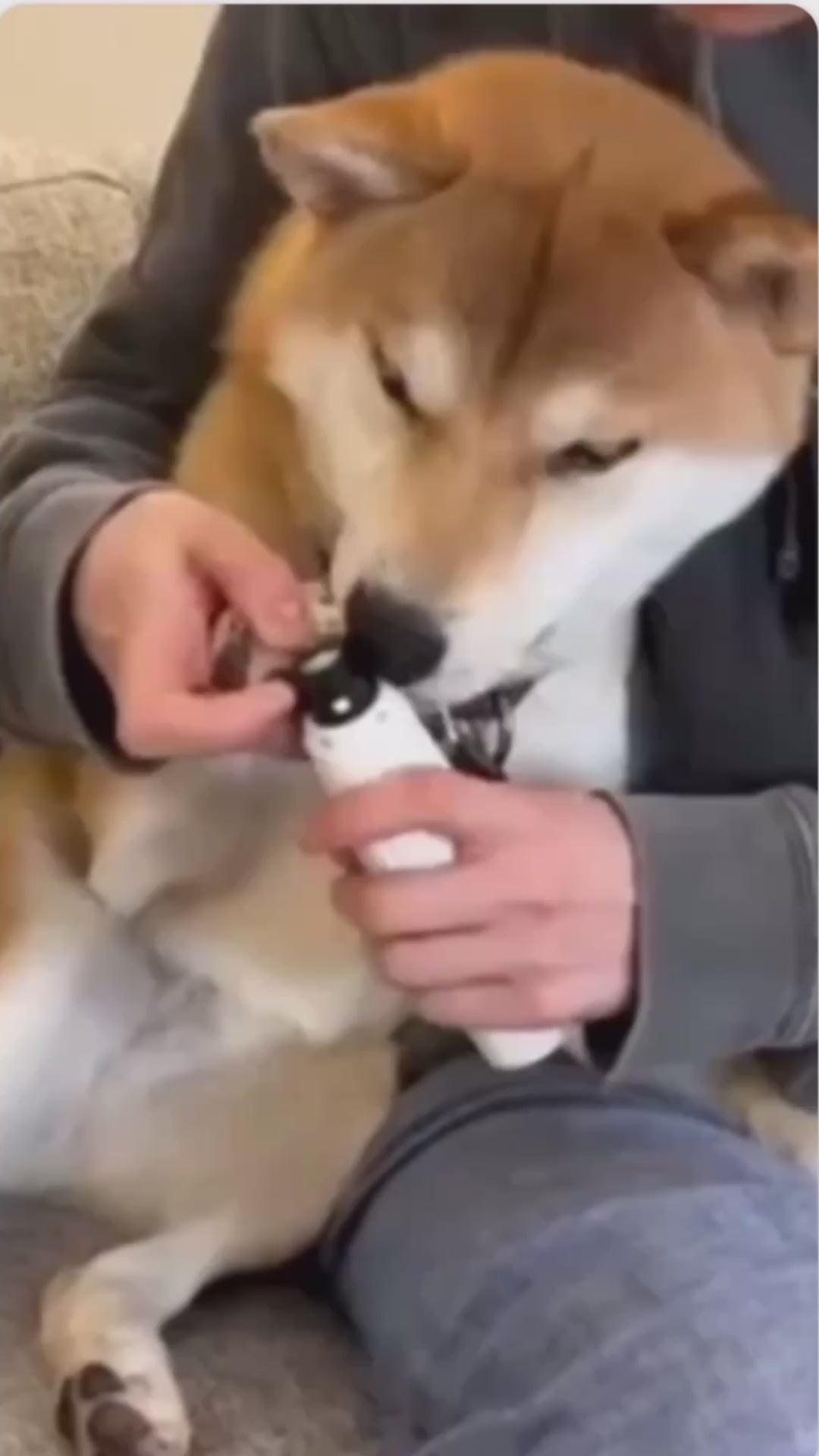 Vidéo