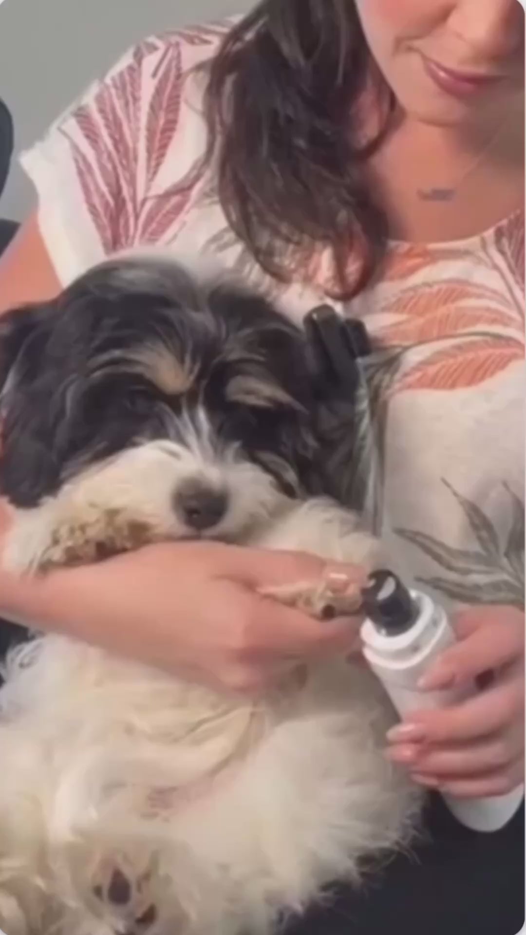 Vidéo