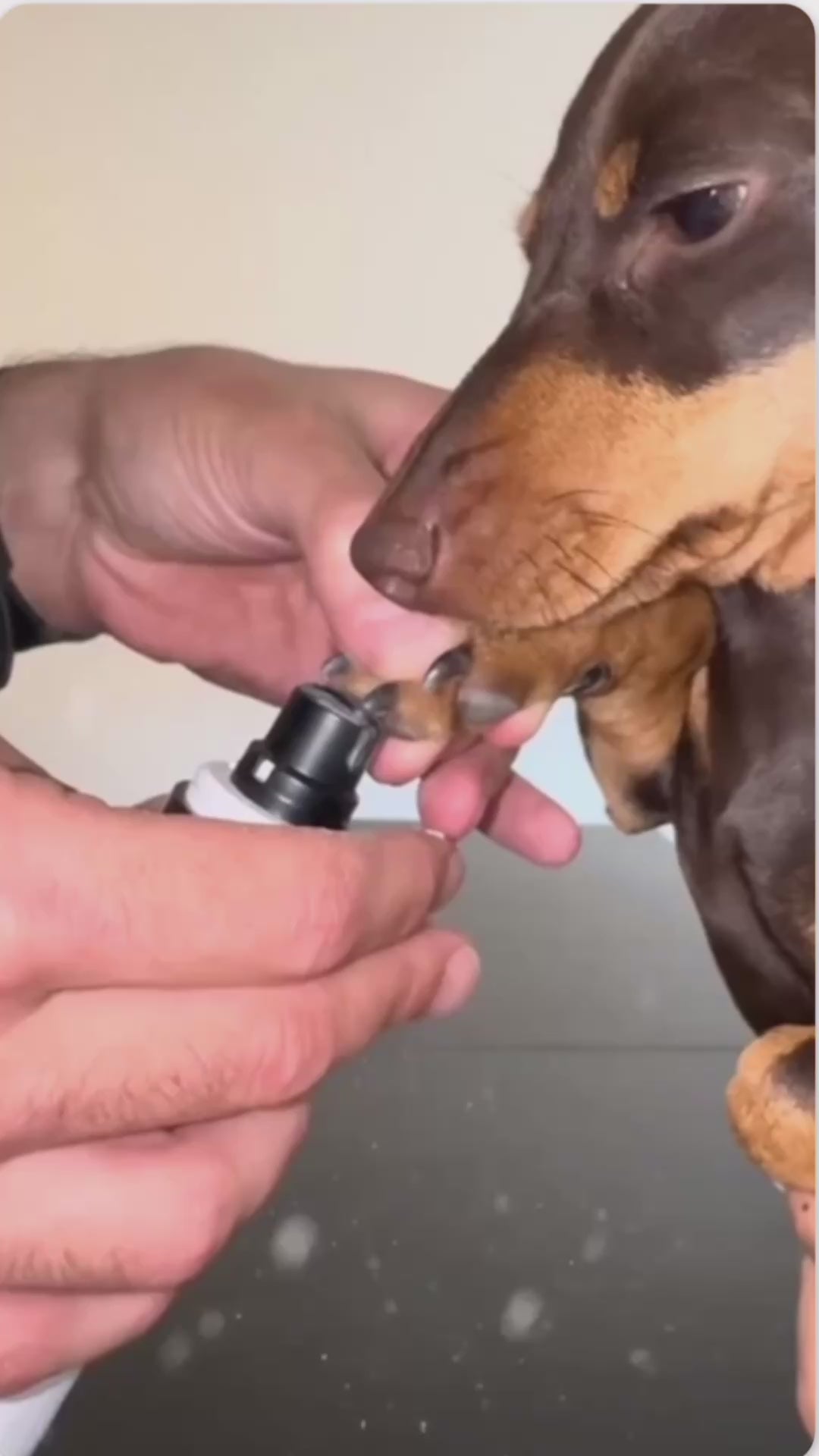 Vidéo